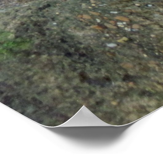 Cheetah Print / Poster (Hoek)