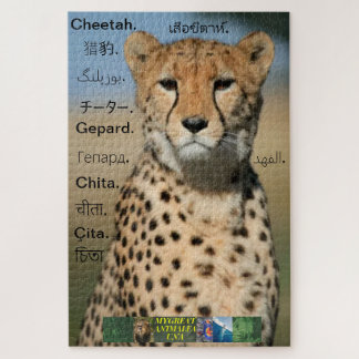 Cheetah puzzel, in verschillende talen. legpuzzel