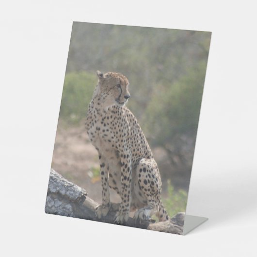 Cheetah Reclamebord Met Voetstuk (Voorkant)