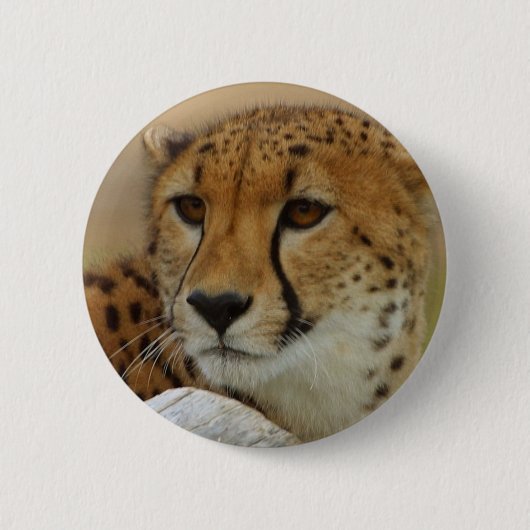Cheetah Ronde Button 5,7 Cm (Voorkant)