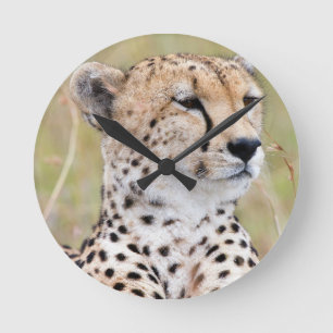 Cheetah Ronde Klok
