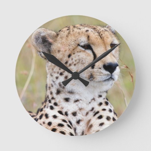 Cheetah Ronde Klok (Voorkant)