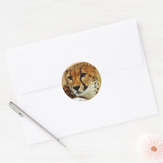 Cheetah Ronde Sticker (Envelop)