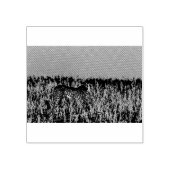 Cheetah Rubberstempel (Afrduk)