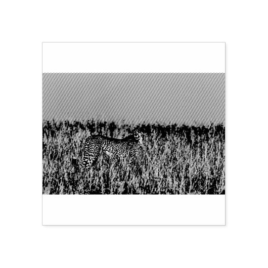 Cheetah Rubberstempel (Afrduk)