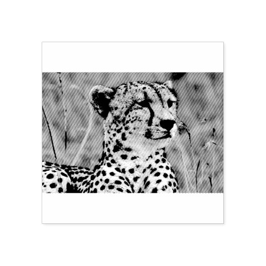 Cheetah Rubberstempel (Afrduk)