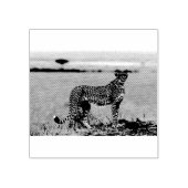 Cheetah Rubberstempel (Afrduk)