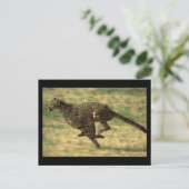 Cheetah Run Briefkaart (Staand voorkant)