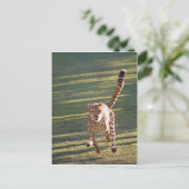 Cheetah Running Briefkaart (Staand voorkant)