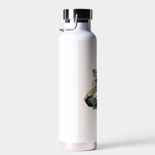 Cheetah rust op een rots waterfles (Rechts)