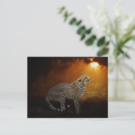 Cheetah rust op zonsondergang briefkaart (Staand voorkant)