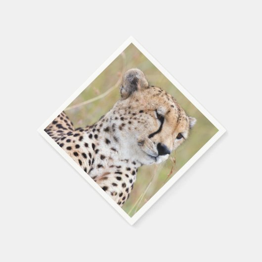 Cheetah Servet (Hoek)