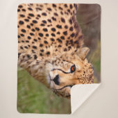 Cheetah Sherpa Dekbed Deken (Voorkant)