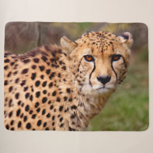Cheetah Sherpa Dekbed Deken