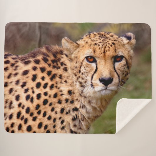 Cheetah Sherpa Dekbed Deken (Voorkant (horizontaal))