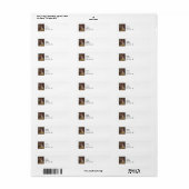 Cheetah Sitting Trots retour adres labels (Full Sheet)