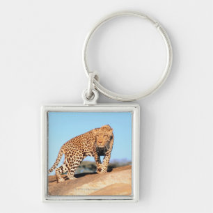 Cheetah Sleutelhanger