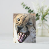 Cheetah Snarl Briefkaarten (Staand voorkant)