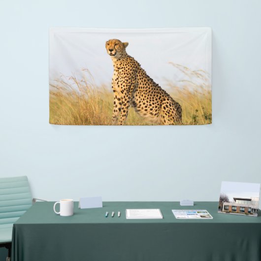 Cheetah Spandoek (Beurs)