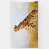 Cheetah Spandoek (Verticaal)