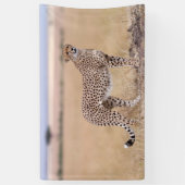 Cheetah Spandoek (Verticaal)