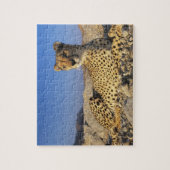 Cheetah spel puzzel (Verticaal)