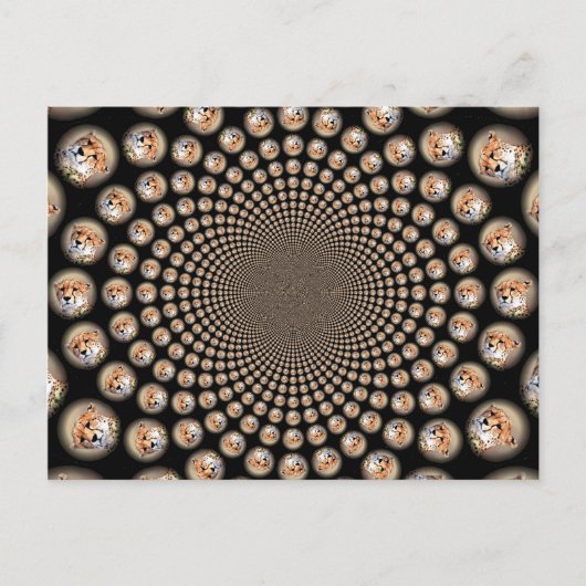 Cheetah Spin Spectacle – Feline Frenzy: Kleurrijk Briefkaart (Voorkant)