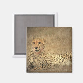 Cheetah Spots Magnet (Voorkant / Achterkant)
