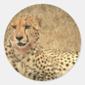 Cheetah Spots Sticker (Voorkant)
