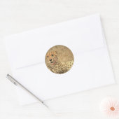 Cheetah Spots Sticker (Envelop)