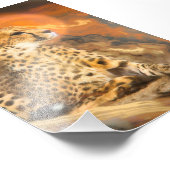 CHEETAH STANDING DOWN FOTO AFDRUK (Hoek)