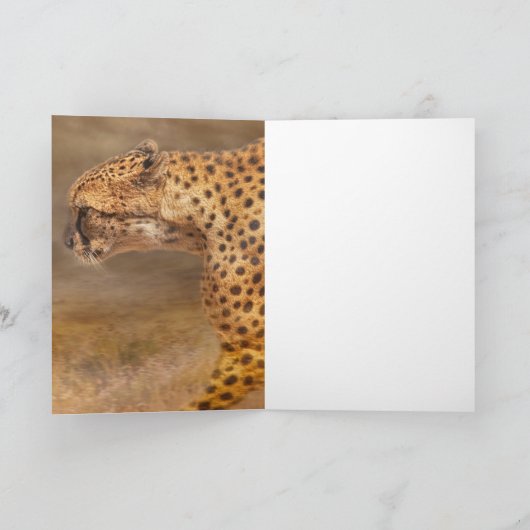 CHEETAH STANDING DOWN KAART (Binnen)