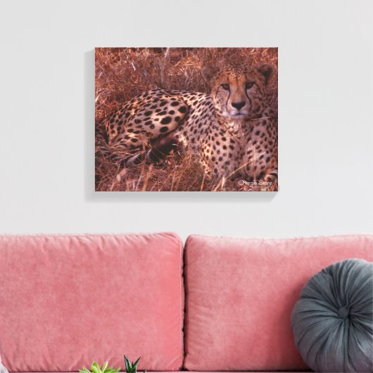 Cheetah Stare Canvas Afdruk (Insitu (Woonkamer))