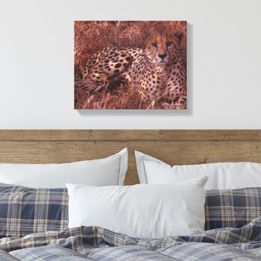 Cheetah Stare Canvas Afdruk (Insitu (Slaapkamer))