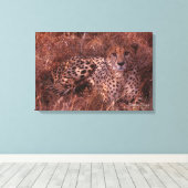 Cheetah Stare Canvas Afdruk (Insitu (Houten vloer))