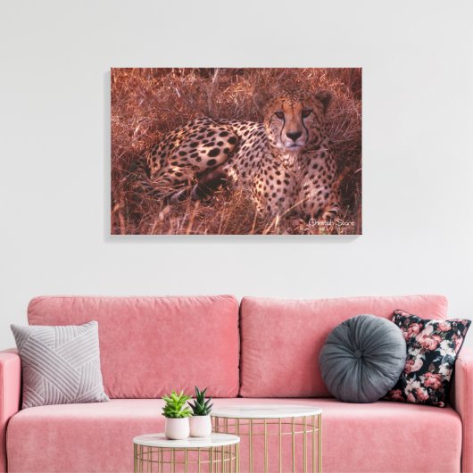 Cheetah Stare Canvas Afdruk (Insitu (Woonkamer))