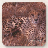Cheetah Stare Drankjes Onderzetter (Voorkant)