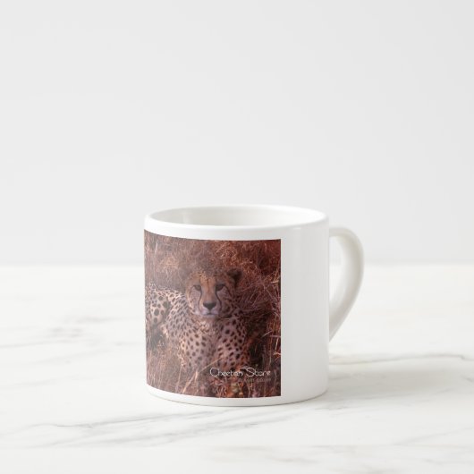 Cheetah Stare Espresso Kop (Voorkant rechts)