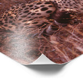 Cheetah Stare Foto Afdruk (Hoek)