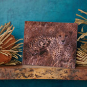 Cheetah Stare Fotoplaat (Zijkant)