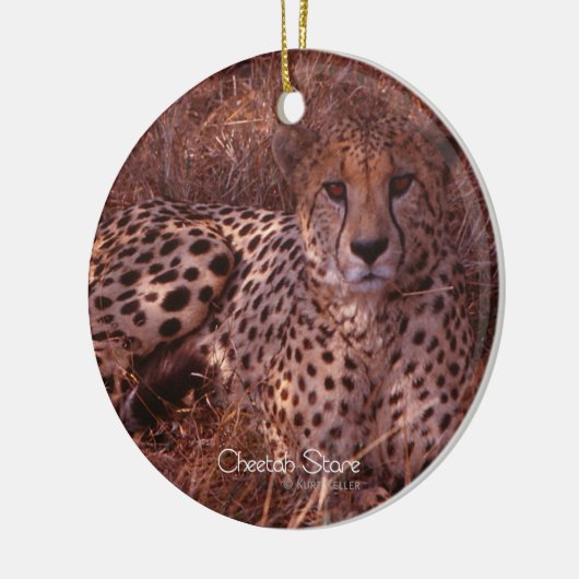 Cheetah Stare Keramisch Ornament (Links)