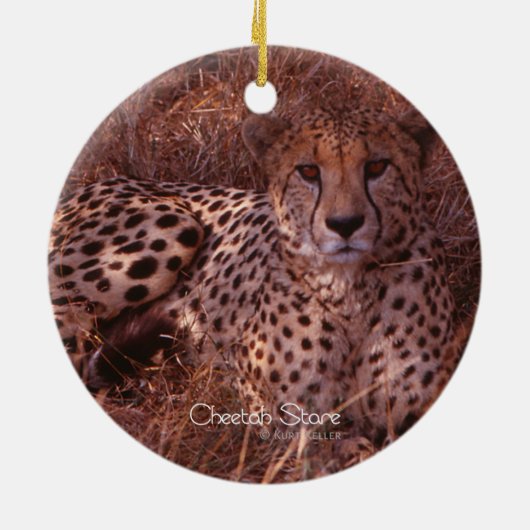 Cheetah Stare Keramisch Ornament (Achterkant)