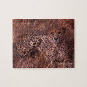 Cheetah Stare Legpuzzel (Horizontaal)