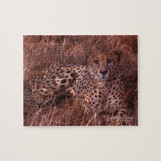 Cheetah Stare Legpuzzel (Horizontaal)