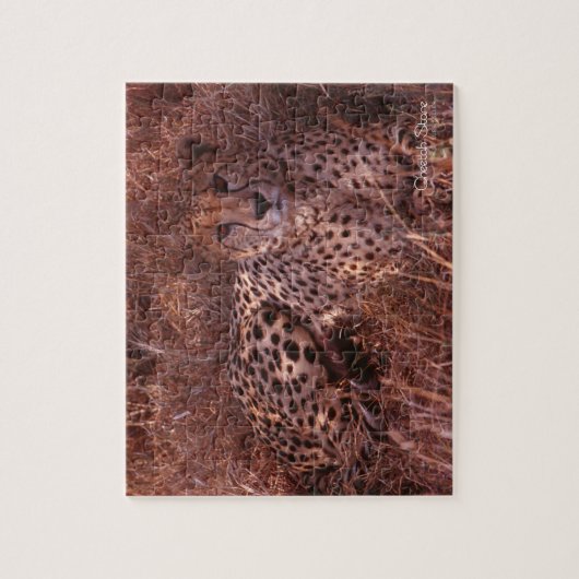 Cheetah Stare Legpuzzel (Verticaal)