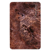 Cheetah Stare Magneet (Verticaal)