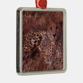 Cheetah Stare Metalen Ornament (Rechts)