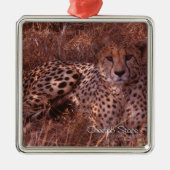 Cheetah Stare Metalen Ornament (Voorkant)