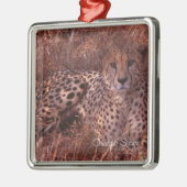 Cheetah Stare Metalen Ornament (Links)