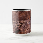 Cheetah Stare Mok (Midden)